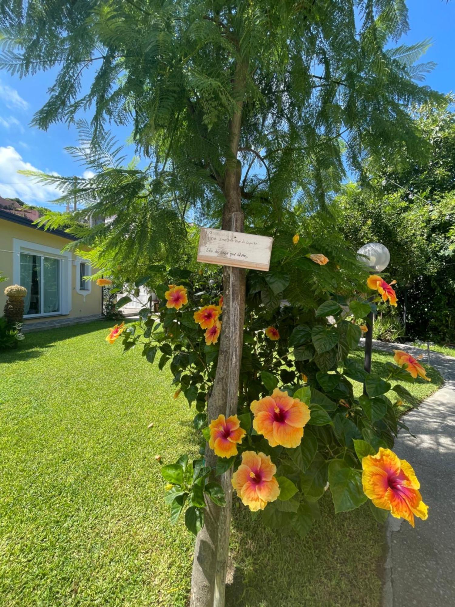 Garden Apartments Ischia Super Centrale Forio di Ischia Exterior foto